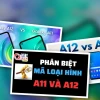 Phân Biệt Loại Hình A11 Và A12: Điểm Khác Biệt Quyết Định Thành Công