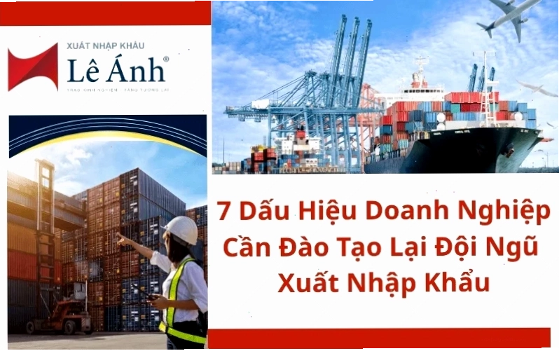 7 Dấu hiệu doanh nghiệp cần đào tạo lại đội ngũ xuất nhập khẩu