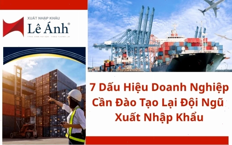 7 Dấu hiệu Doanh nghiệp cần đào tạo lại đội ngũ xuất nhập khẩu về MSDS