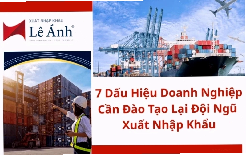 7 Dấu Hiệu Doanh Nghiệp Cần Đào Tạo Lại Đội Ngũ Xuất Nhập Khẩu