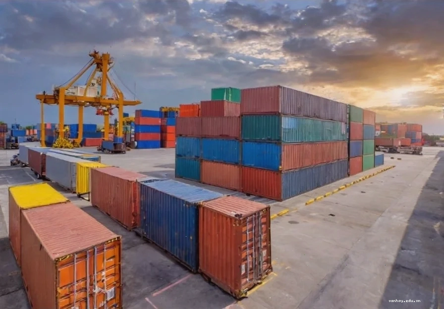 Bãi container là gì và vai trò quan trọng trong logistics