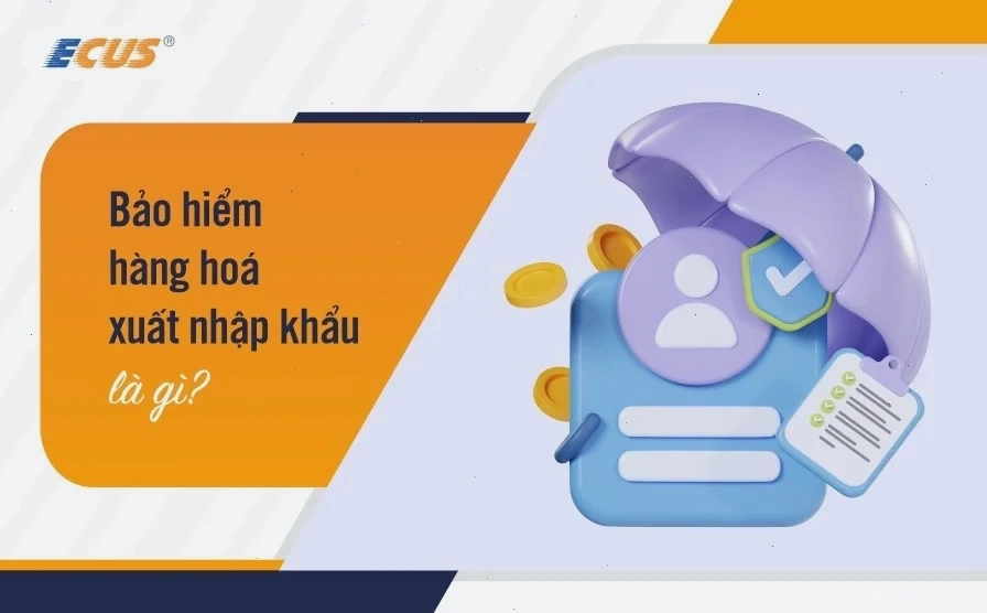 Bảo hiểm hàng hóa xuất nhập khẩu và các điều kiện bảo vệ