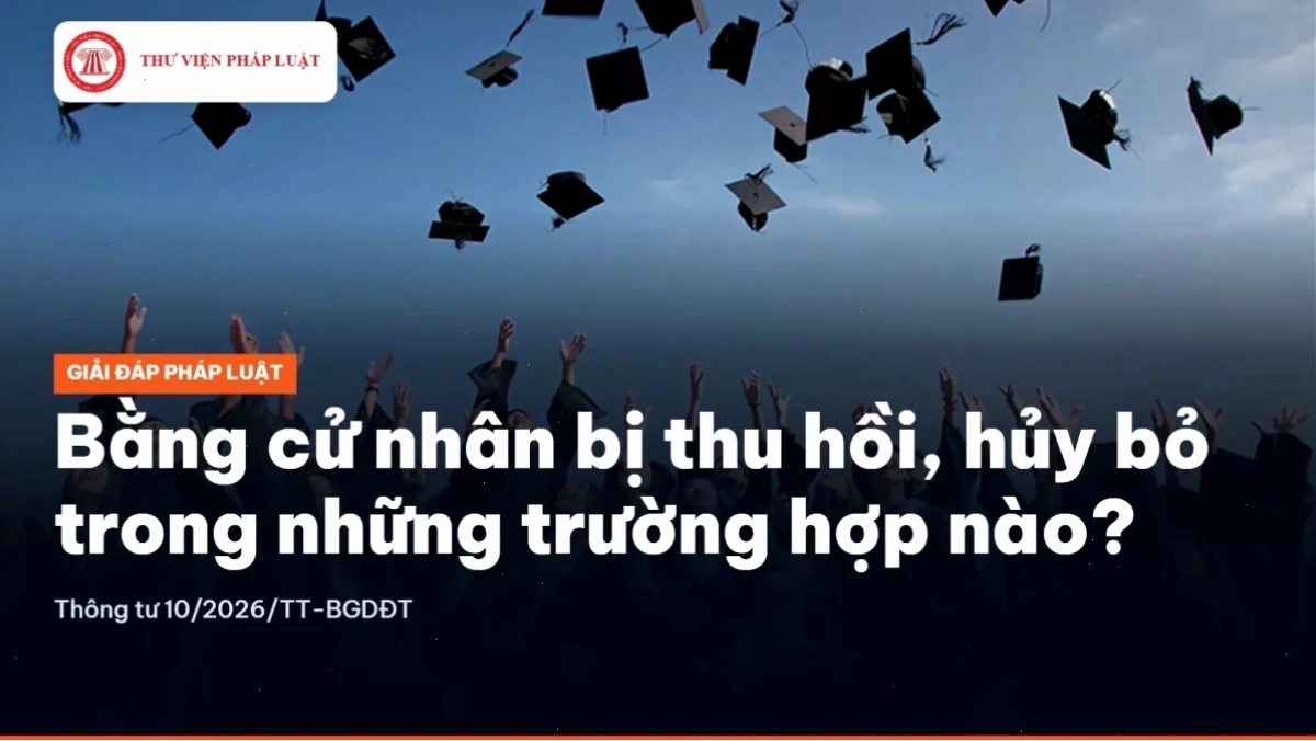 Các trường hợp áp dụng thủ tục tạm xuất hàng đi bảo hành