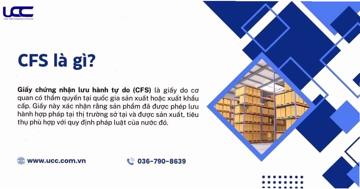 CFS là gì và tầm quan trọng trong thương mại quốc tế