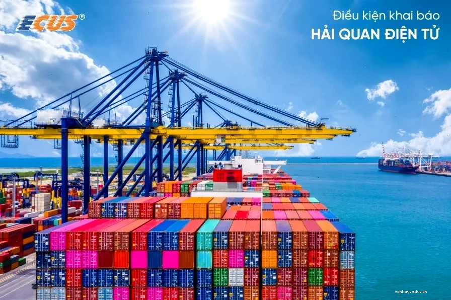 Chuẩn bị đầy đủ chứng từ là bước quan trọng trong Hướng dẫn sử dụng ECUS5