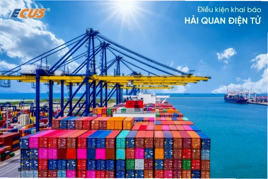 Chuẩn bị hồ sơ cho tờ khai hải quan điện tử