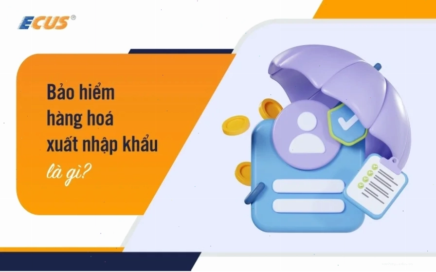 Doanh nghiệp đang xem xét các gói Bảo hiểm hàng hóa XNK