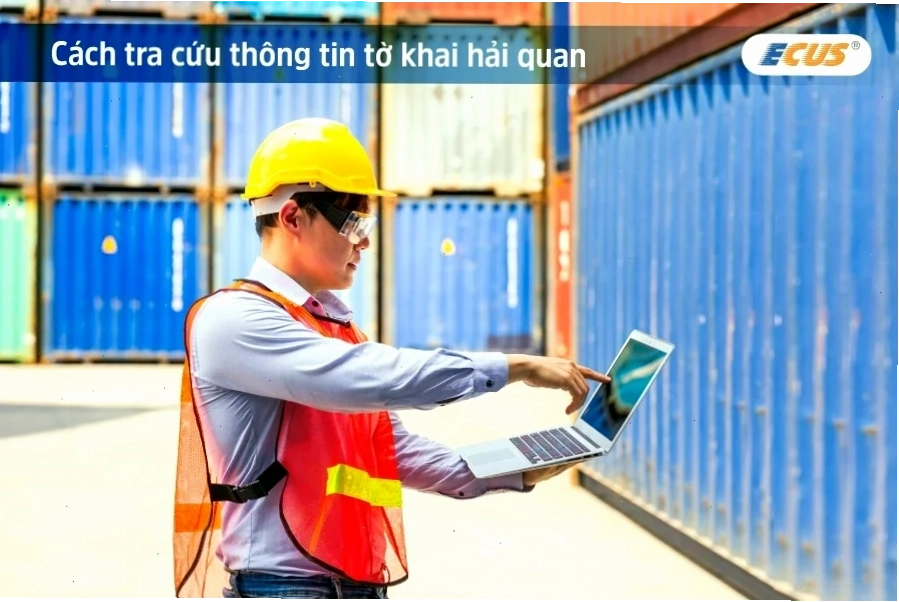 Đọc tờ khai hải quan sau khi tra cứu để hiểu rõ tình trạng lô hàng
