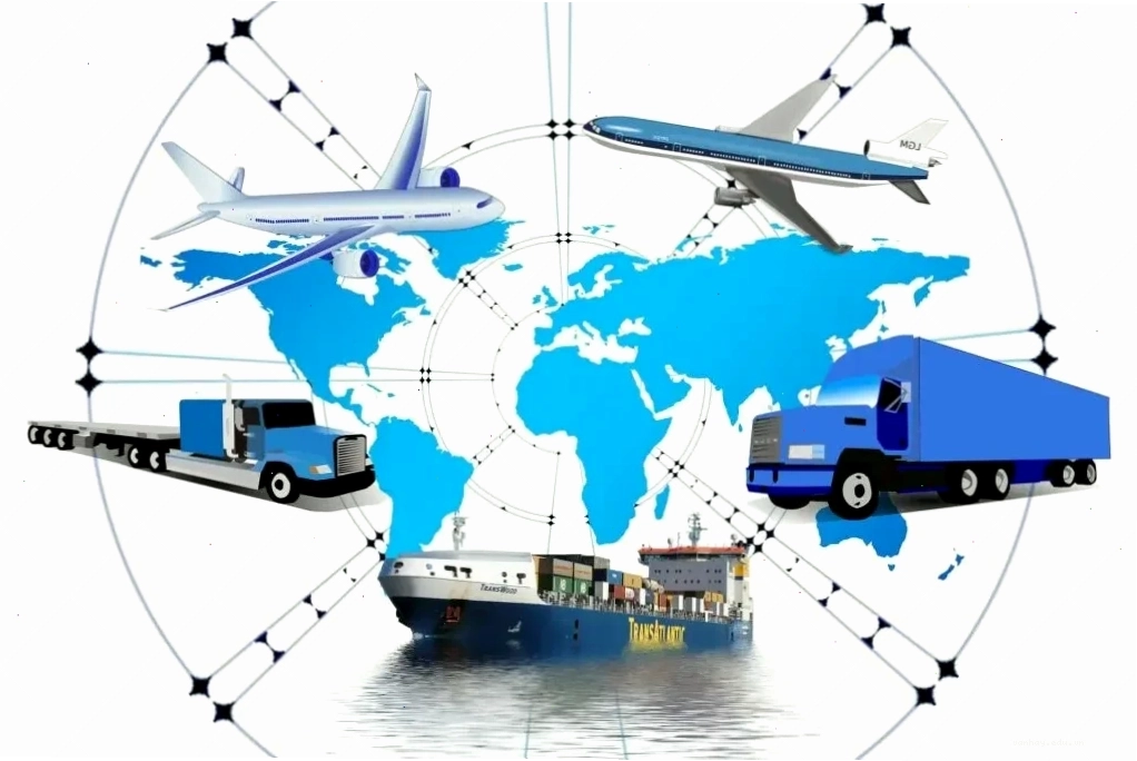Freight Forwarder là gì và vai trò cốt lõi trong vận chuyển quốc tế