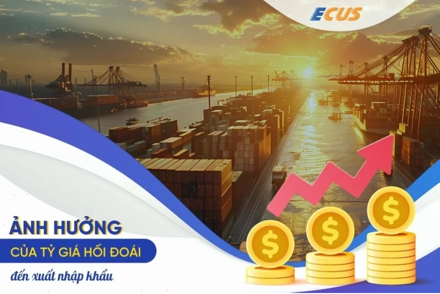 Giải pháp phòng ngừa rủi ro tỷ giá cho doanh nghiệp xuất nhập khẩu
