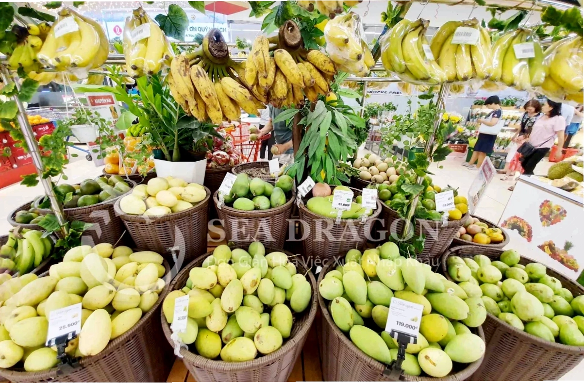 Giấy chứng nhận kiểm dịch thực vật