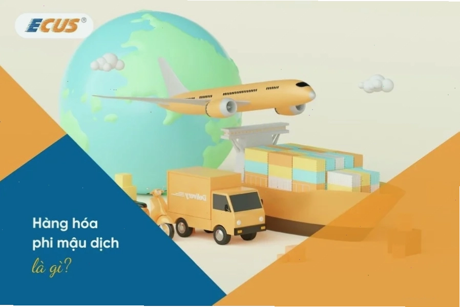 Hàng hóa phi mậu dịch không nhằm mục đích thương mại vẫn cần tuân thủ quy định hải quan