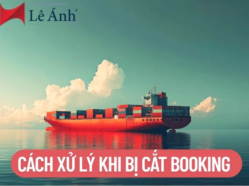 Hãng tàu tự ý hủy booking xử lý thế nào