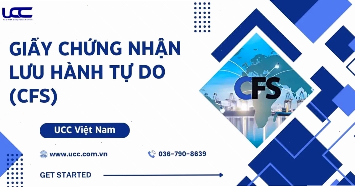 Hợp pháp hóa lãnh sự giấy CFS và vai trò quan trọng