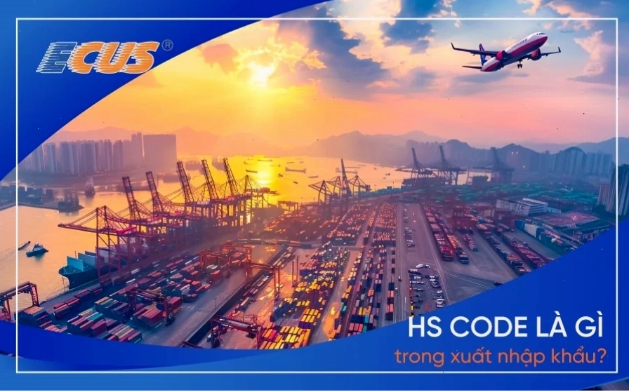 HS Code trong xuất nhập khẩu