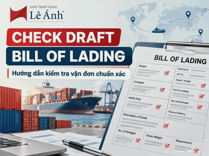 Hướng dẫn kiểm tra vận đơn Bill of Lading chính xác để tránh sai sót về phí DEM/DET