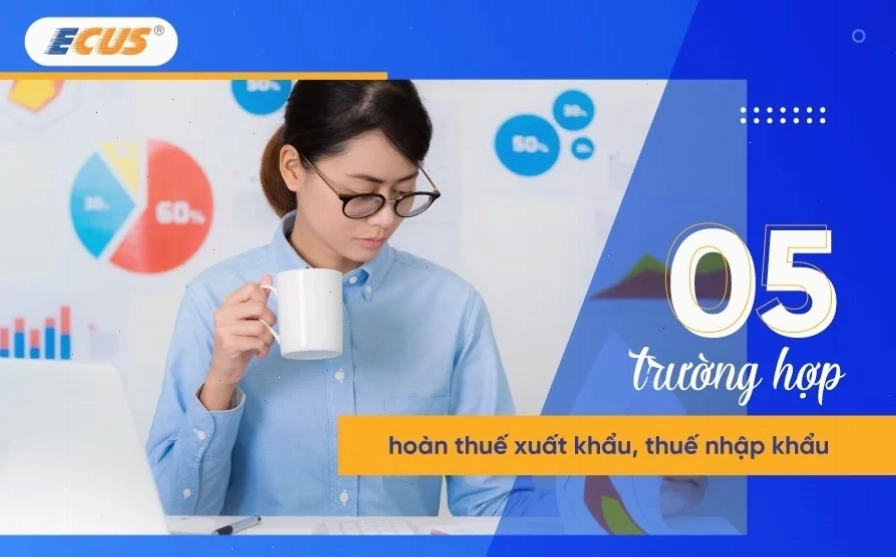 Khi nào doanh nghiệp được hoàn thuế xuất nhập khẩu