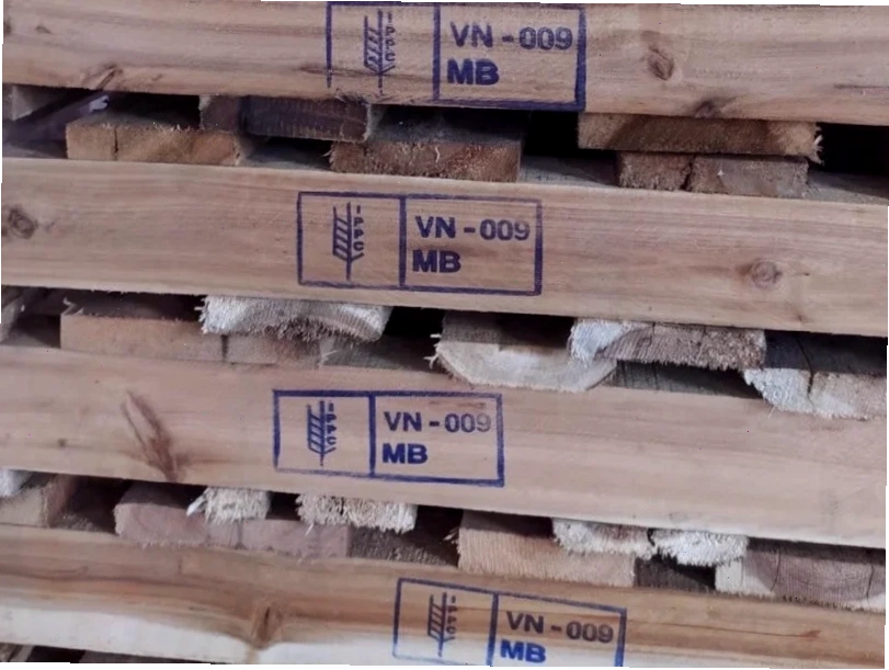 Khu trùng bằng methyl bromide MB VFC