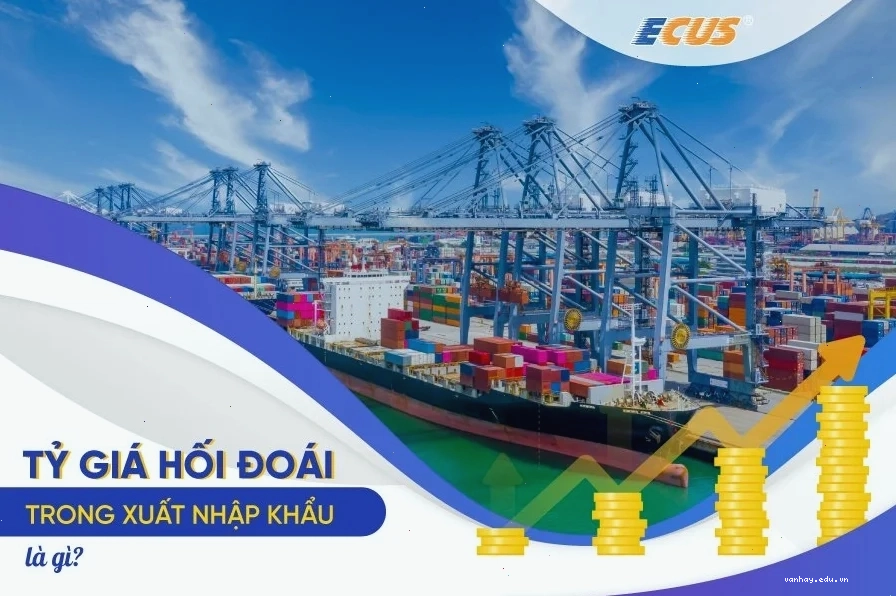 Liên hệ giữa Tỷ giá hối đoái và hoạt động xuất nhập khẩu