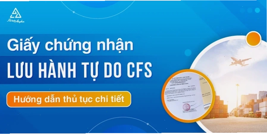 Lời khuyên cho doanh nghiệp khi làm thủ tục xin cấp giấy CFS xuất khẩu