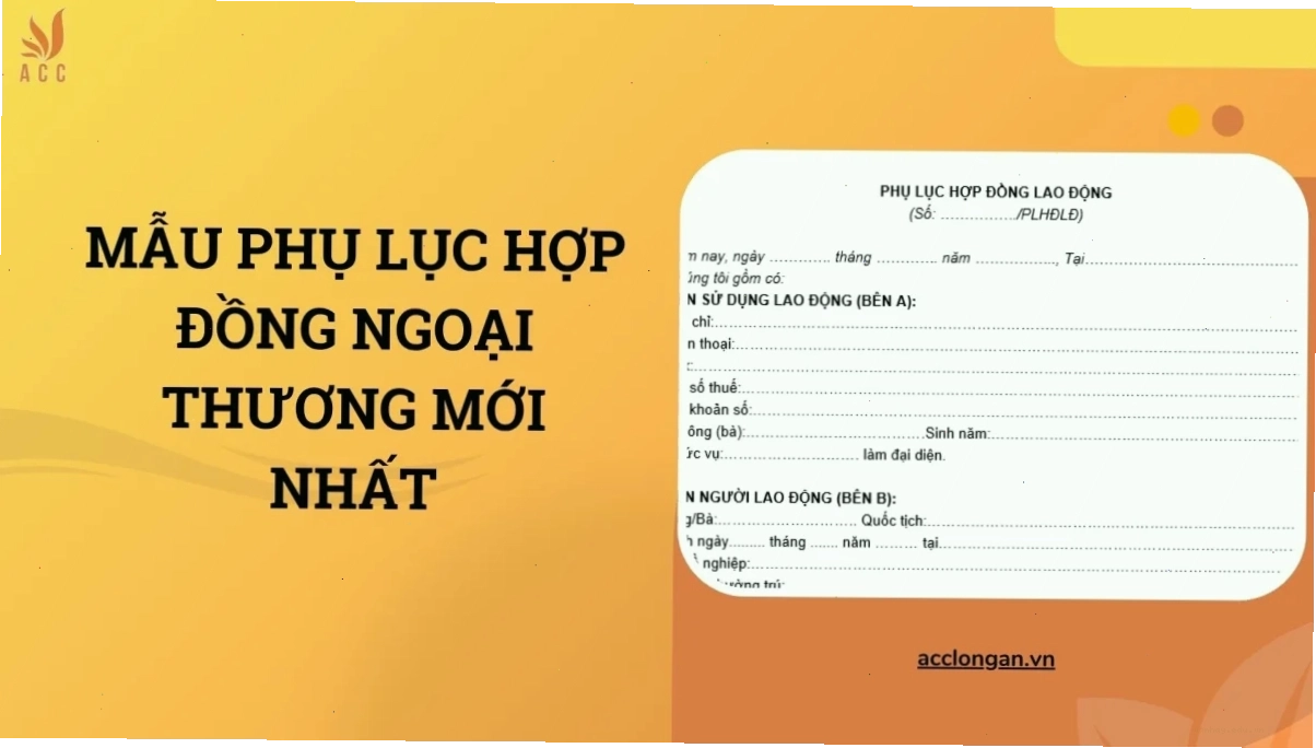 Mẫu phụ lục hợp đồng ngoại thương mới nhất