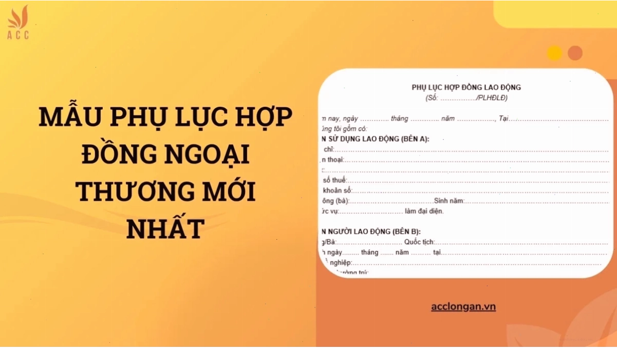 Mẫu phụ lục hợp đồng ngoại thương mới nhất và tầm quan trọng
