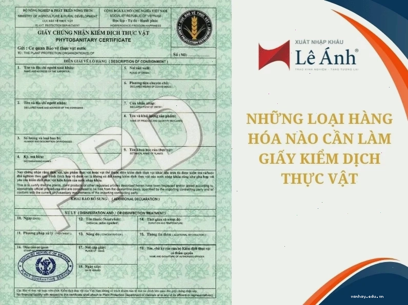 Những loại hàng hóa nào cần làm giấy kiểm dịch thực vật