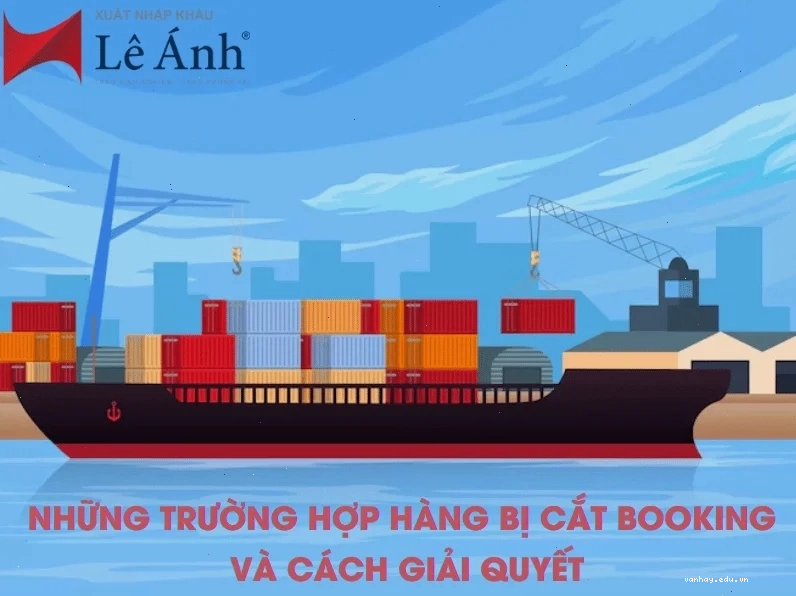 Những trường hợp hàng bị cắt booking
