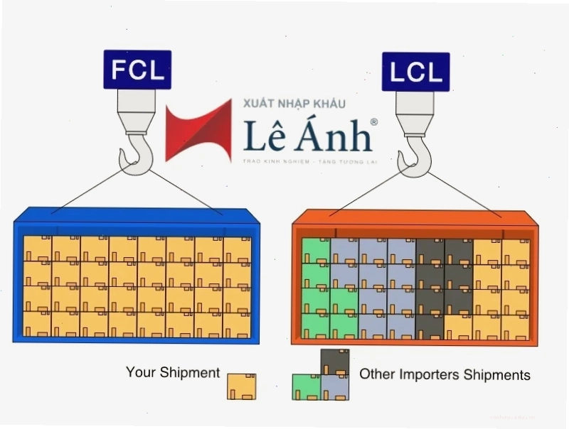 Phân biệt FCL và LCL trong vận tải biển