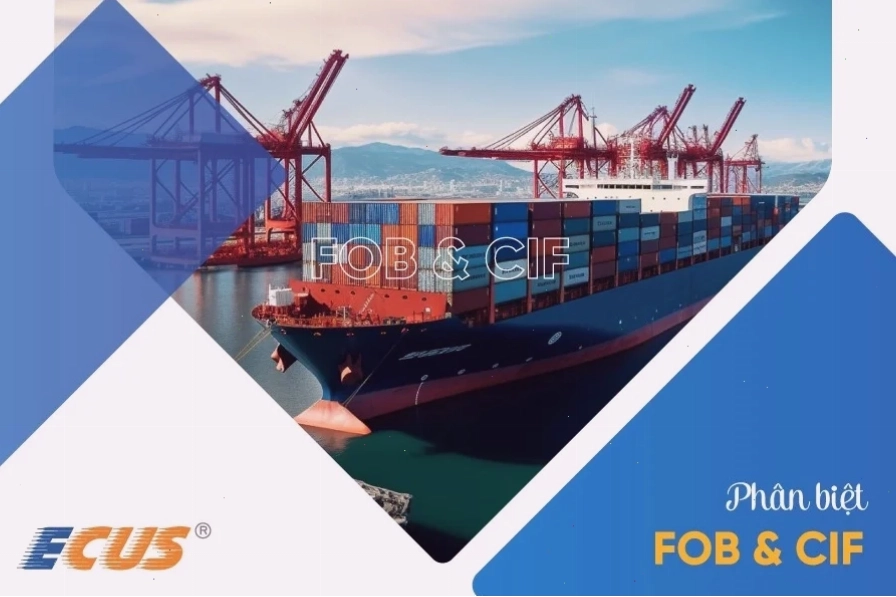 Phân biệt FOB và CIF trong xuất nhập khẩu
