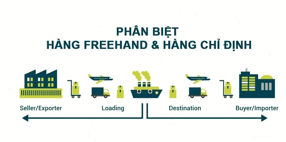 Phân biệt hàng freehand và hàng chỉ định