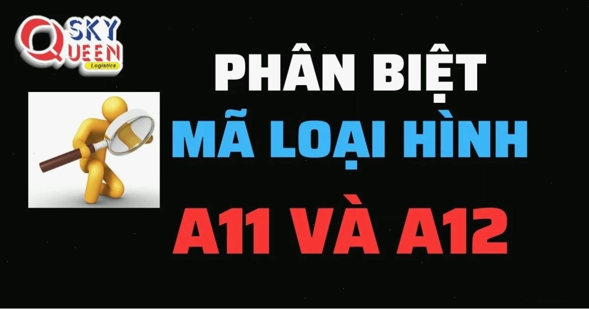 Phân biệt Mã Loại Hình A11 Và A12