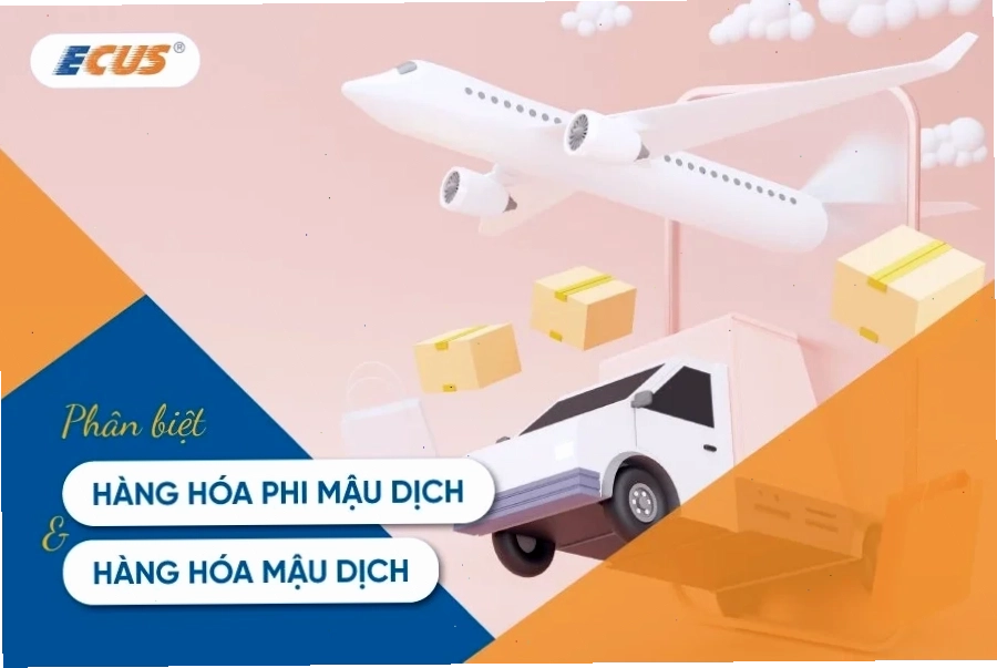 Phân biệt rõ ràng giữa hàng hóa phi mậu dịch và hàng hóa mậu dịch qua các ví dụ minh họa