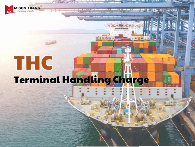 Phí THC là gì và các hoạt động xếp dỡ tại cảng