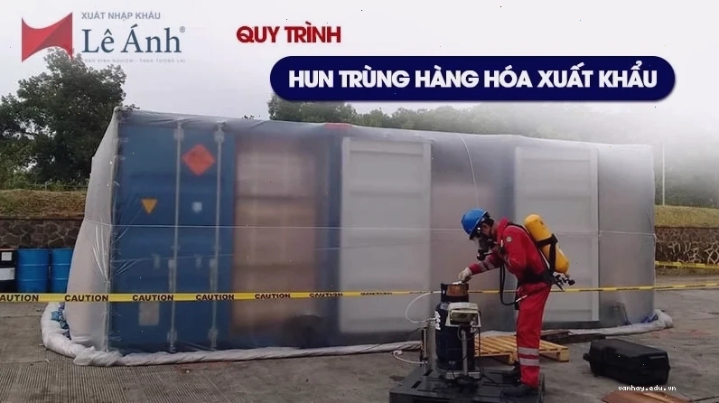 Quy trình hun trùng hàng hóa xuất khẩu cần tuân thủ nghiêm ngặt