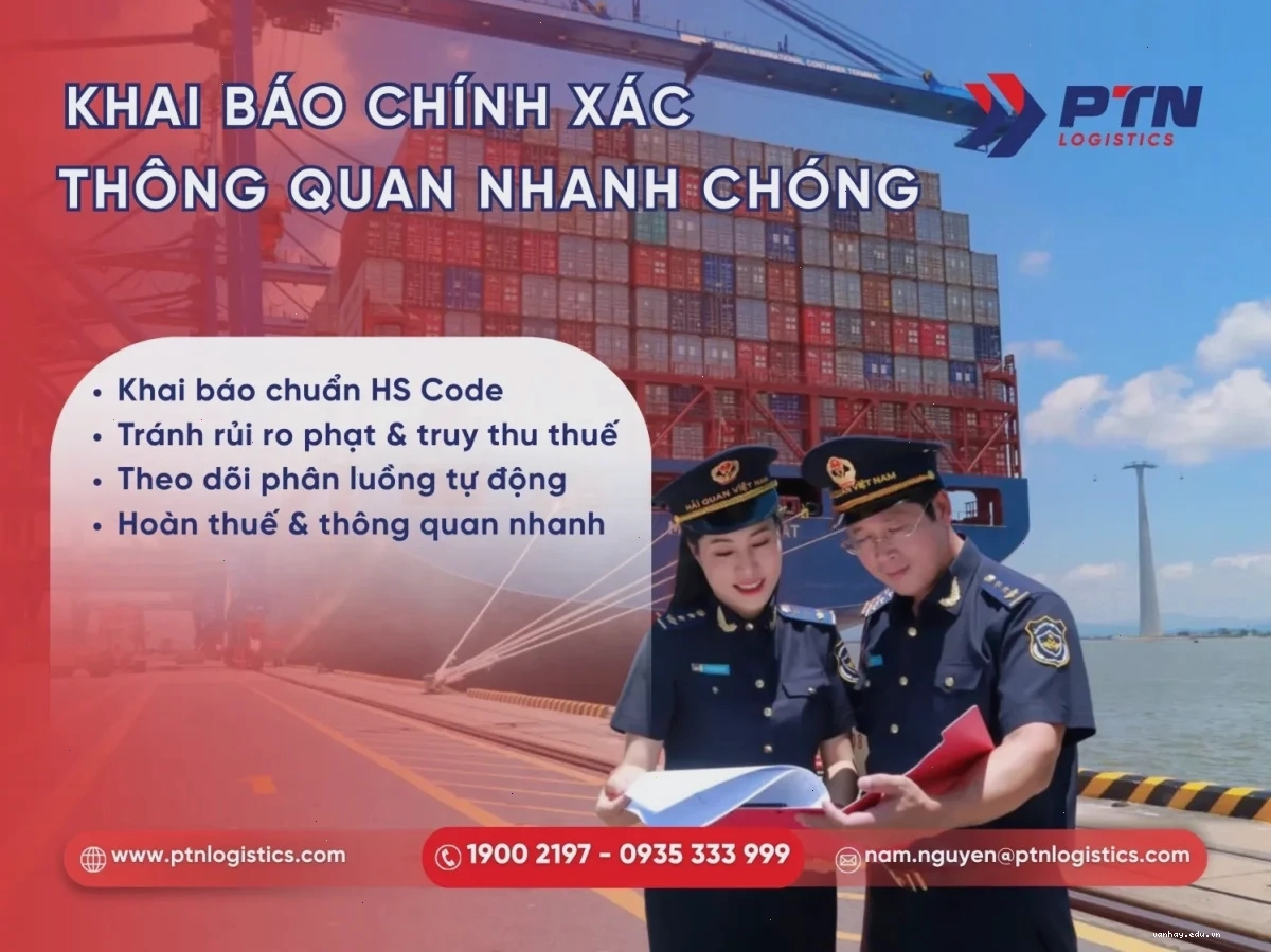 Quy trình khai báo hải quan và thông quan hàng hóa FCL