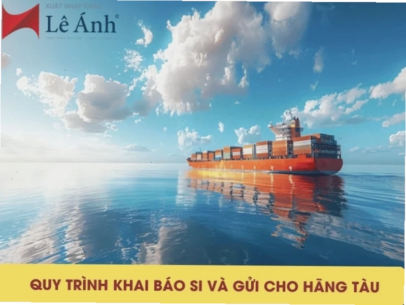 Quy trình khai báo SI và gửi cho hãng tàu chi tiết