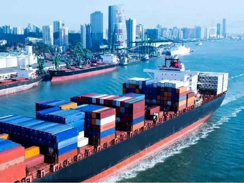 Quy trình khử trùng container xuất khẩu thực tế