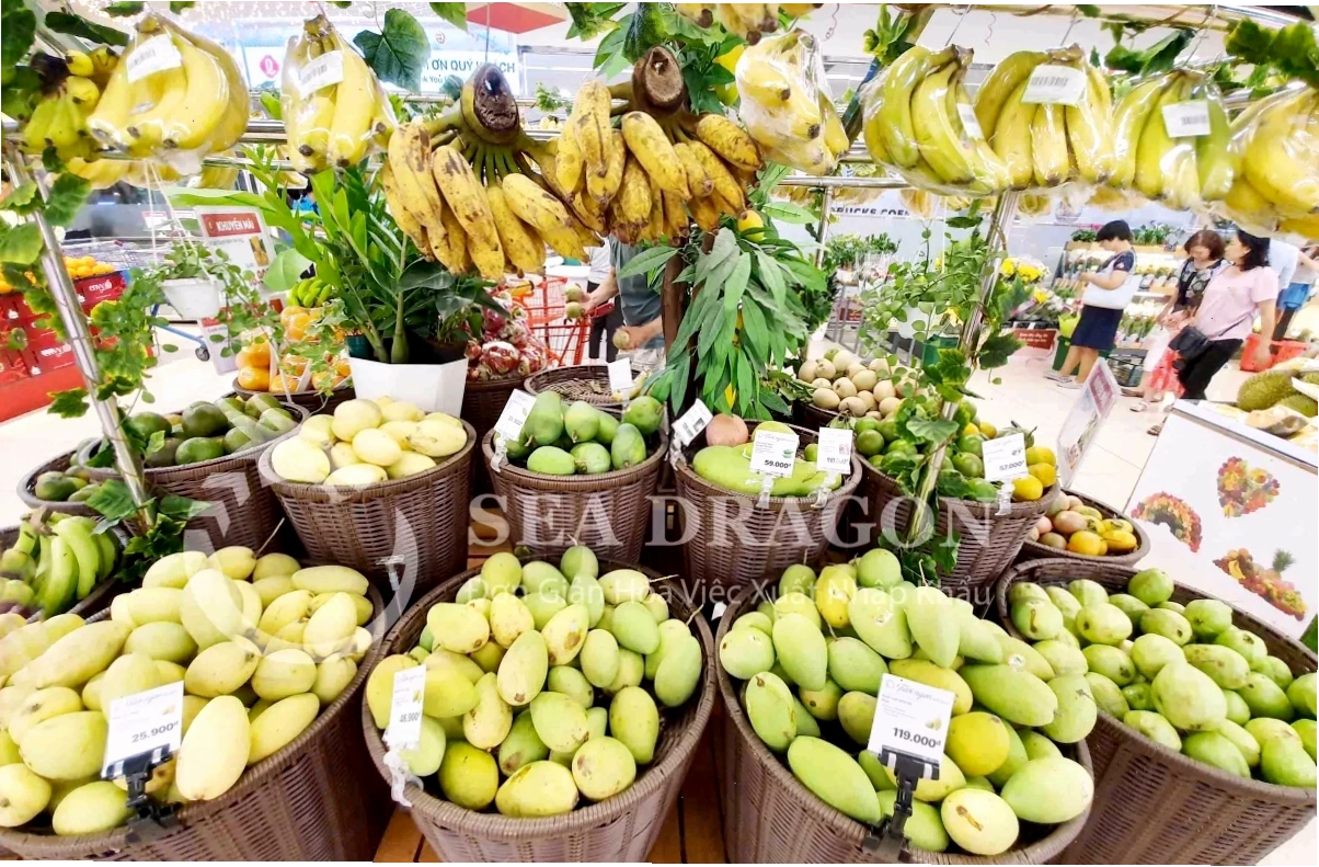 QUY TRÌNH KIỂM DỊCH THỰC VẬT CHO HÀNG XUẤT KHẨU 01