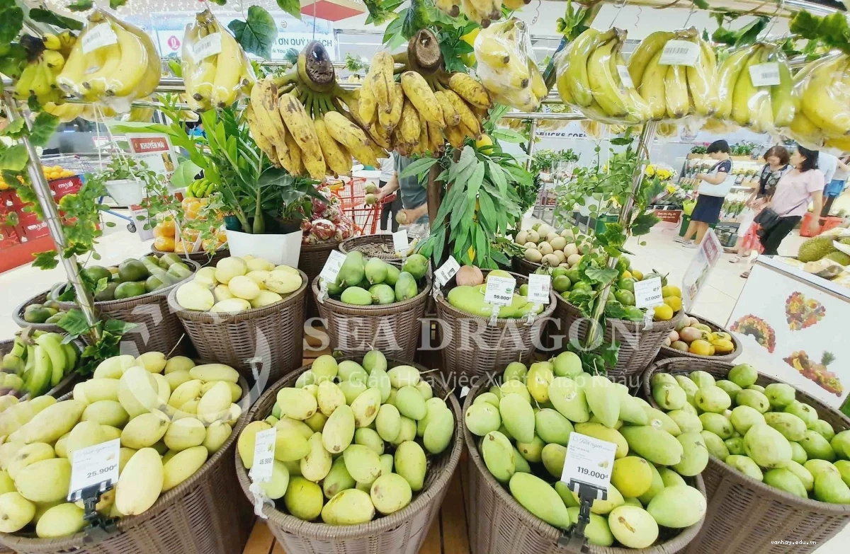 Quy trình kiểm dịch thực vật cho hàng xuất khẩu