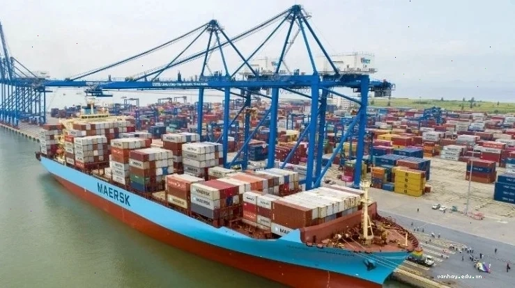 Quy trình làm Switch Bill of Lading trong giao dịch quốc tế