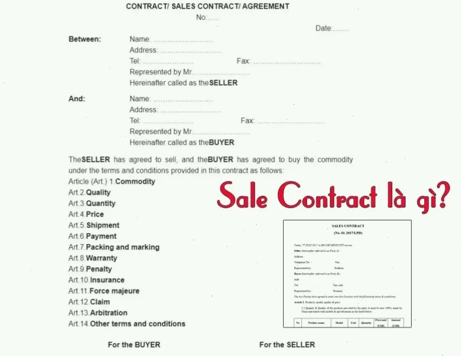 Sales Contract là gì? Vai trò thiết yếu trong hoạt động xuất nhập khẩu