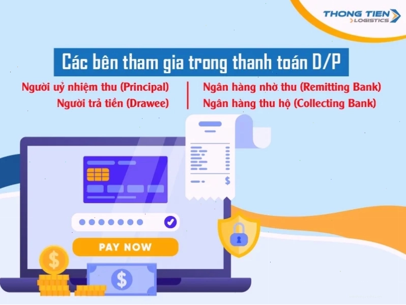 Thanh toán D/P là gì và quy trình chi tiết