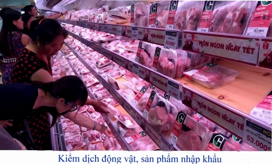 Thủ tục đăng ký Kiểm dịch động vật sản phẩm động vật trên cạn nhập khẩu