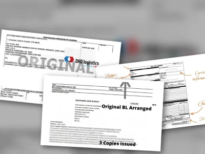 Bí ẩn Cách đọc Bill of Lading và những cú lừa nhà xuất khẩu