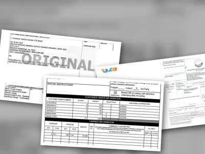 Bill of Lading là gì Giải mã vai trò và những góc khuất chưa từng tiết lộ