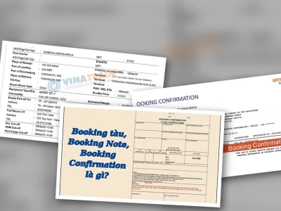 Bóc Trần Booking Confirmation: Lời Giải Mã Cho Dân Xuất Nhập Khẩu