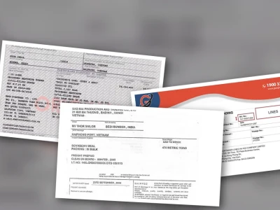 Cách Ký Hậu Vận Đơn Đường Biển: Giải Mã Nghiệp Vụ "Lách Luật" Hay Tối Ưu Hóa Lợi Nhuận?