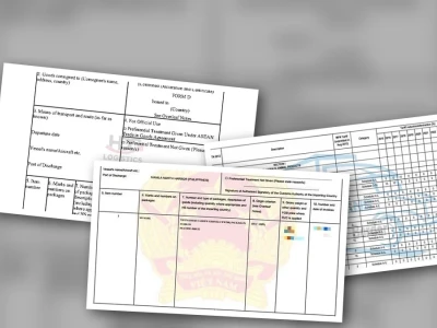 C/O Form D 2026: Bí mật ưu đãi thuế và cách theo dõi điện tử bạn chưa biết