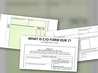 C/O Form EUR.1 Là Gì? Sự Thật Gai Góc Về Thủ Tục Ưu Đãi EVFTA